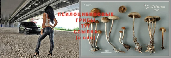прущие крисы Алексин