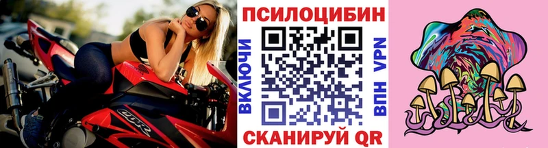blacksprut зеркало  Грязовец  Галлюциногенные грибы Psilocybine cubensis 